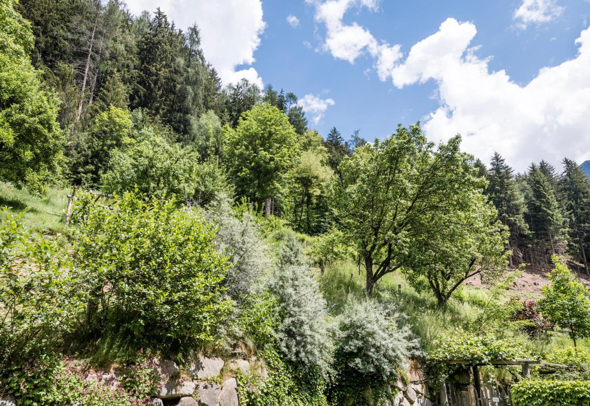 Naturresidenz Mair Zu Hof Campo Tures Bagian luar foto